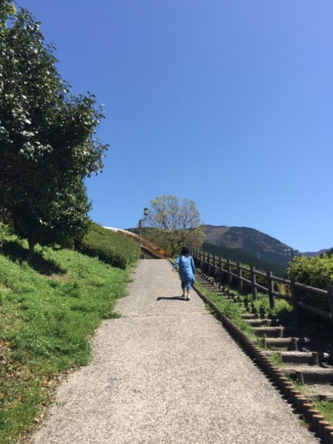 山頂までは結構な坂